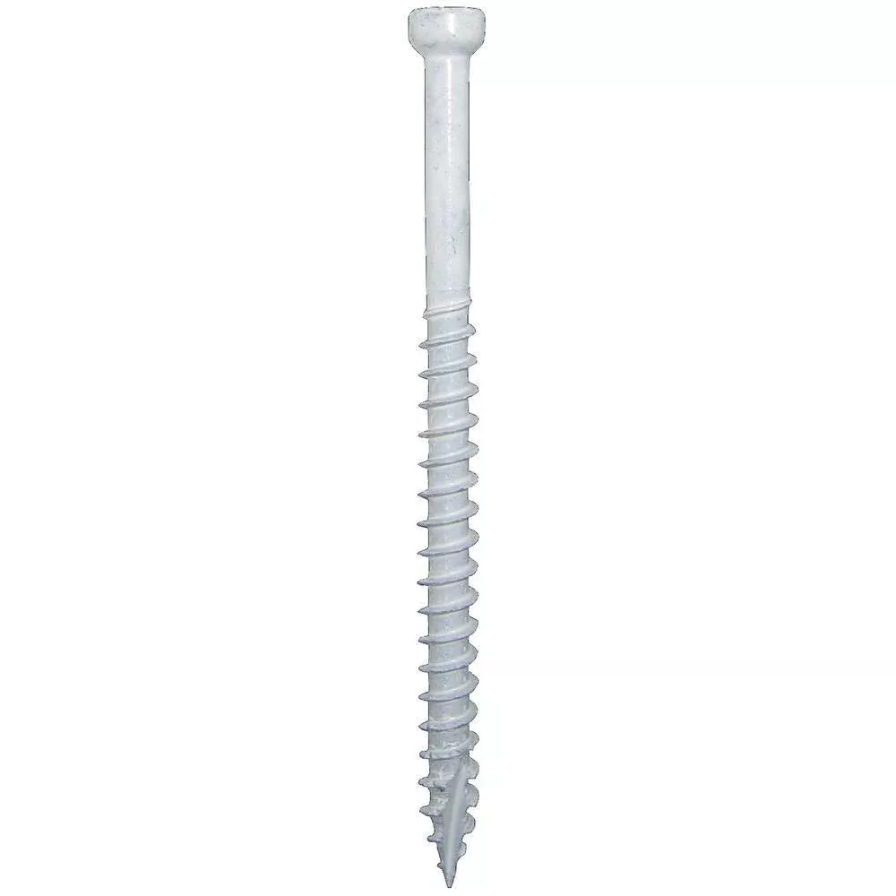 #8 x 2 in. Star Drive Trim-Head White Trim Screw (100-Pack)