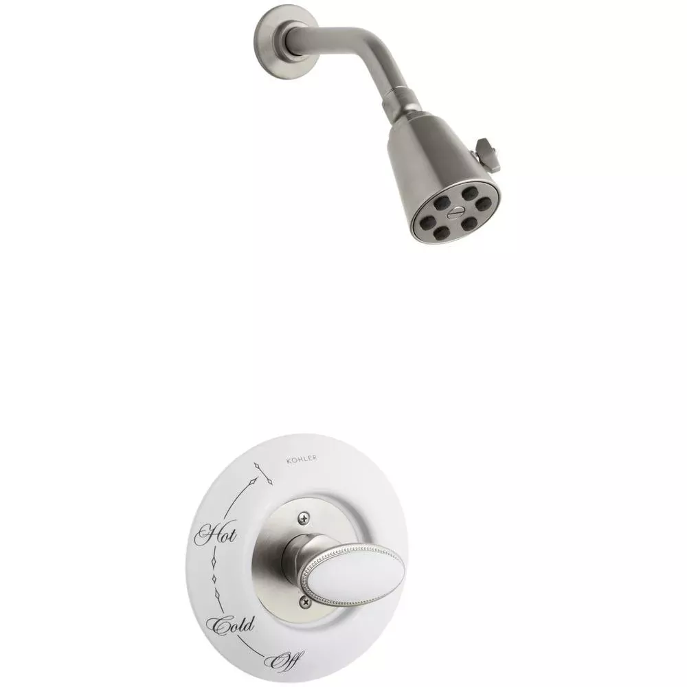 Antique 1-Spray 3.8 in. Single Wall Mount Fixed Shower Head in Vibrant Brushed Nickel